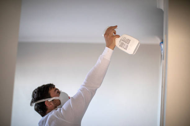 Best Mold Removal Company Near Me  in Callaway, MD
