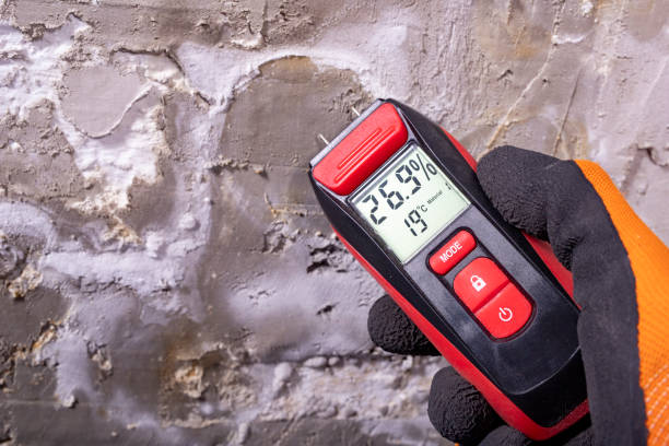Best Mold Remediation  in Callaway, MD