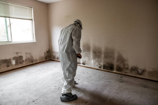 Best Crawl Space Mold Removal  in Callaway, MD