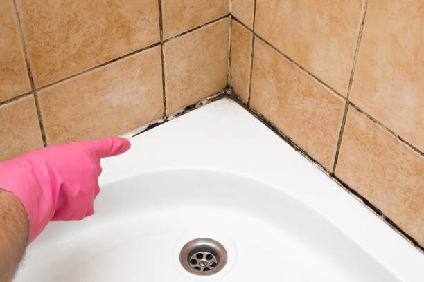 Crawl Space Mold Removal in Callaway, MD